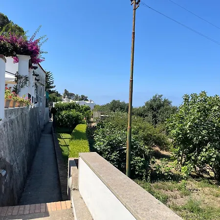 Apartment Casa Rosetta Anacapri (Isola di Capri)